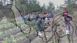 [Título n/d] : lote nº 002, pasta nº 000027, doc. nº 000001 [imagem] / Fotógrafo(a) : [autoria n/d].