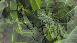 [Título n/d] : lote nº 002, pasta nº 001317, doc. nº 000024 [imagem] / Fotógrafo(a) : [autoria n/d].