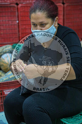 [Título n/d] : lote nº 002, pasta nº 001344, doc. nº 000011 [imagem] / Fotógrafo(a) : [autoria n/d].