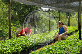 [Título n/d] : lote nº 002, pasta nº 001315, doc. nº 000049 [imagem] / Fotógrafo(a) : [autoria n/d].