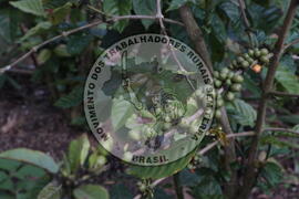 [Título n/d] : lote nº 002, pasta nº 001313, doc. nº 000019 [imagem] / Fotógrafo(a) : [autoria n/d].