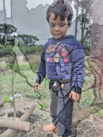 Original Objeto digital not accessible