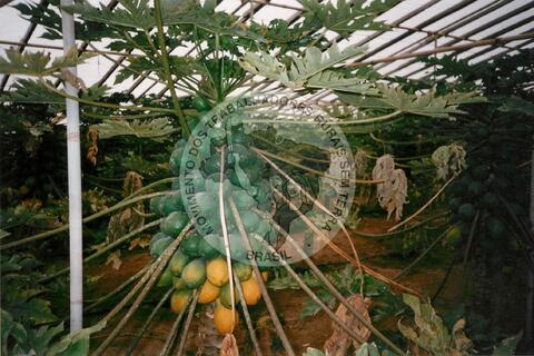 Original Document numérique not accessible