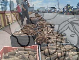 [Título n/d] : lote nº 002, pasta nº 001351, doc. nº 000450 [imagem] / Fotógrafo(a) : [autoria n/d].