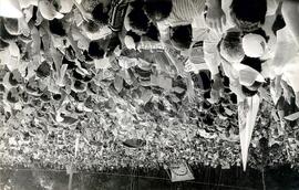 Jornada de Luta pela Reforma Agrária, 1o (Rio Grande do Sul, [sem data]) [fotografia] / Fotógrafo(a) : Neiva Alves. -- Ref.: BR-SPMST_MST-SN-CIN_AMP_001930-014515-SJM.