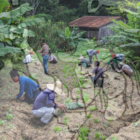 Original Objeto digital not accessible