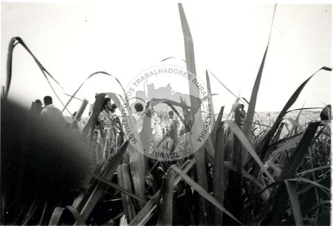 Original Document numérique not accessible