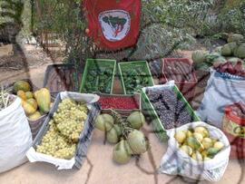 [Título n/d] : lote nº 002, pasta nº 001351, doc. nº 000040 [imagem] / Fotógrafo(a) : [autoria n/d].