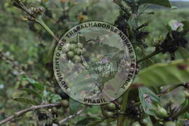 [Título n/d] : lote nº 002, pasta nº 001313, doc. nº 000026 [imagem] / Fotógrafo(a) : [autoria n/d].