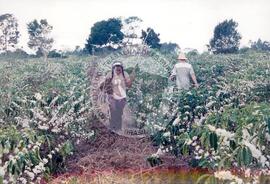 Curso Prolongado região sudeste - CIDAP (São Matheus-ES, ago. 2000) [fotografia] / Fotógrafo(a) : Leticia Barqueta. -- Ref.: BR-SPMST_MST-SN-CIN_AMP_000822-005446-CUR.