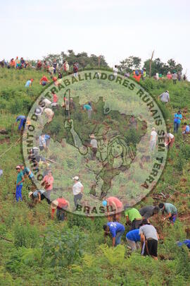 [Título n/d] : lote nº 002, pasta nº 001317, doc. nº 000097 [imagem] / Fotógrafo(a) : [autoria n/d].