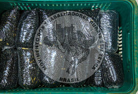 [Título n/d] : lote nº 002, pasta nº 001344, doc. nº 000012 [imagem] / Fotógrafo(a) : [autoria n/d].