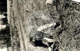 Assentamento do MST [sem identificação] (Chapecó-SC, ago. 1995) [fotografia] / Fotógrafo(a) : Débora Lerrer. -- Ref.: BR-SPMST_MST-SN-CIN_AMP_000194-001390-ASS.