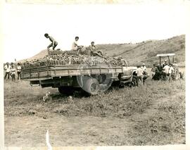 Assentamento do MST [sem identificação] (Paraíba, [sem data]) [fotografia] / Fotógrafo(a) : Arquivo MST. -- Ref.: BR-SPMST_MST-SN-CIN_AMP_000335-001606-ASS.