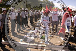 [Título n/d] : lote nº 002, pasta nº 000044, doc. nº 000463 [imagem] / Fotógrafo(a) : [autoria n/d].