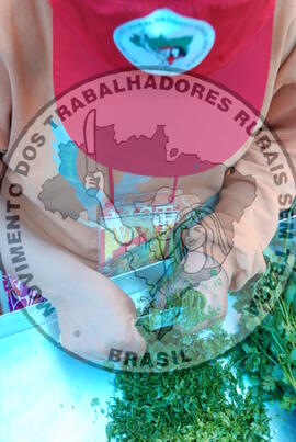 [Título n/d] : lote nº 002, pasta nº 000055, doc. nº 000023 [imagem] / Fotógrafo(a) : [autoria n/d].