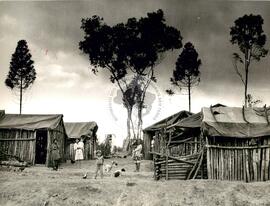 Acampamento do MST [sem identificação] (Londrina-PR, abr. 1986) [fotografia] / Fotógrafo(a) : Devanir Parra. -- Ref.: BR-SPMST_MST-SN-CIN_AMP_000074-000597-ACP.