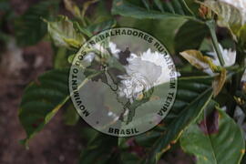 [Título n/d] : lote nº 002, pasta nº 001313, doc. nº 000012 [imagem] / Fotógrafo(a) : [autoria n/d].