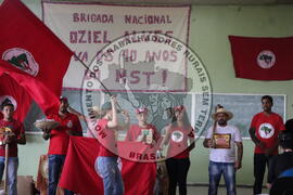 [Título n/d] : lote nº 002, pasta nº 000013, doc. nº 000183 [imagem] / Fotógrafo(a) : [autoria n/d].