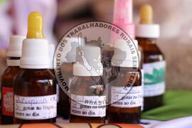 [Título n/d] : lote nº 002, pasta nº 001316, doc. nº 000117 [imagem] / Fotógrafo(a) : [autoria n/d].