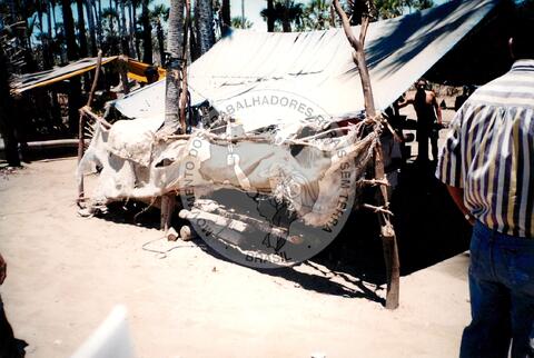 Original Objeto digital not accessible