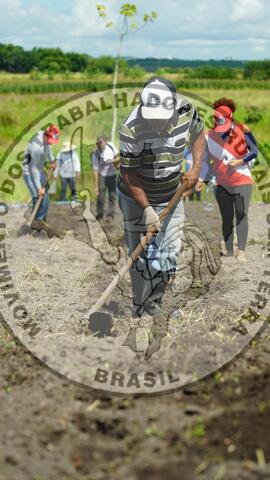 [Título n/d] : lote nº 002, pasta nº 001322, doc. nº 000006 [imagem] / Fotógrafo(a) : [autoria n/d].