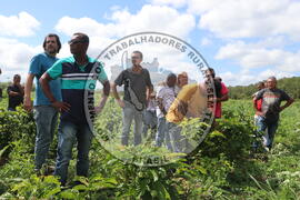 [Título n/d] : lote nº 002, pasta nº 001313, doc. nº 000002 [imagem] / Fotógrafo(a) : [autoria n/d].