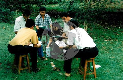 Original Digital object not accessible