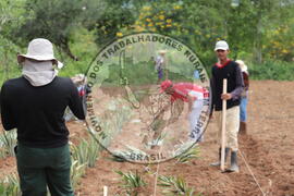 [Título n/d] : lote nº 002, pasta nº 000014, doc. nº 000205 [imagem] / Fotógrafo(a) : [autoria n/d].