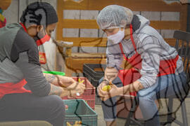 [Título n/d] : lote nº 002, pasta nº 001343, doc. nº 000019 [imagem] / Fotógrafo(a) : [autoria n/d].