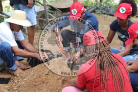 [Título n/d] : lote nº 002, pasta nº 000014, doc. nº 000233 [imagem] / Fotógrafo(a) : [autoria n/d].