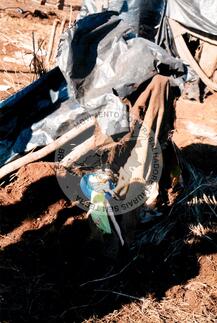 Original Digitaal object not accessible