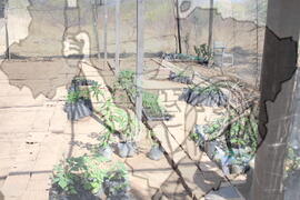 [Título n/d] : lote nº 002, pasta nº 001312, doc. nº 000345 [imagem] / Fotógrafo(a) : [autoria n/d].