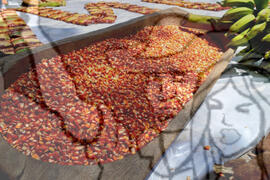 [Título n/d] : lote nº 002, pasta nº 001322, doc. nº 000039 [imagem] / Fotógrafo(a) : [autoria n/d].