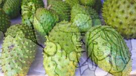 [Título n/d] : lote nº 002, pasta nº 001322, doc. nº 000017 [imagem] / Fotógrafo(a) : [autoria n/d].