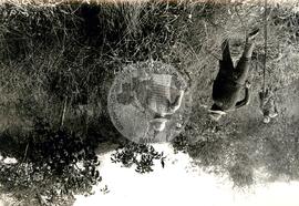 Ocupação Rio Vermelho (Goiás, 12 ago. 1987) [fotografia] / Fotógrafo(a) : Jofre Macedo. -- Ref.: BR-SPMST_MST-SN-CIN_AMP_001851-014103-OCU.