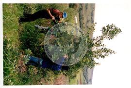 Assentamento "30 de outubro" do MST (Santa Catarina, [sem data]) [fotografia] / Fotógrafo(a) : Douglas Mansur. -- Ref.: BR-SPMST_MST-SN-CIN_AMP_000199-001438-ASS.