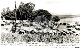 Via Sacra ao acampamento de Salto (Salto do Jacuí-RS, 24 mar. 1989) [fotografia] / Fotógrafo(a) : Volnei Manfron. -- Ref.: BR-SPMST_MST-SN-CIN_AMP_001961-015020-SPR.