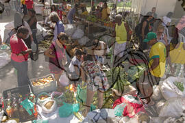 [Título n/d] : lote nº 002, pasta nº 001319, doc. nº 000087 [imagem] / Fotógrafo(a) : [autoria n/d].